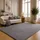 The CarPET Teppich THE CARPET "kuschelig & Super Soft, Anti-Rutsch Unterseite", grau (anthrazit), B:300cm H:16mm L:400cm, Polyester, Teppiche, Teppich, Waschbar bis 30 Grad, Felloptik, Wohnzimmer Teppich, Kundenliebling