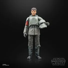 Hasbro Star Wars The Black Series Din Djarin (Morak) Actionfigur 15 cm