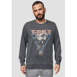 Sweatshirt RECOVERED "Jurassic Park T-Rex 1993", Herren, Gr. M, grau, 100% Baumwolle, bedruckt, casual, Rundhals, Langarm, Sweatshirts, mit coolem Jurassic Park-Print