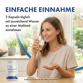 provilea Schwarzkümmelöl Kapseln 120 St.