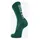 VAN RYSEL EDR Radsocken 39-42 Grün