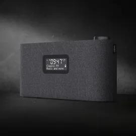 Loewe radio.frequency grau