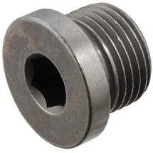 FEBI Bilstein Verschlussschraube, Ölwanne 31702