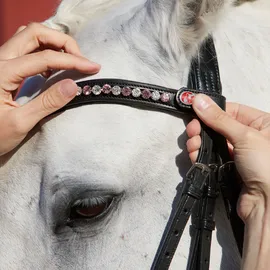 Kieffer Stirnband FlexiLoop Large Crystal Clear Warmblut schwarz