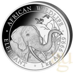 1 Kilogramm Silbermünze Somalia Elefant 2018