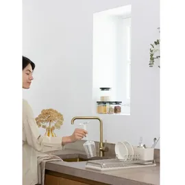 Brabantia Abtropfgestell kompakt 252006  Beige