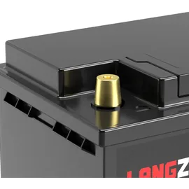 LANGZEIT Batterien LiFePO4 100Ah 12V Lithium Batterie Wohnmobil