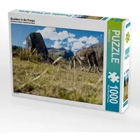 Calvendo Bouldern in der Pampa (Puzzle)