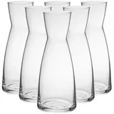 Bormioli Rocco YPSILON Karaffe 1 L 6er Set