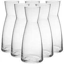 Bormioli Rocco YPSILON Karaffe 1 L 6er Set