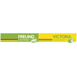 Freund Victoria Straßenbesen Elaston 40 cm