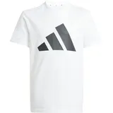 adidas Essentials Kids Trainingsanzug Weiß/Schwarz 128