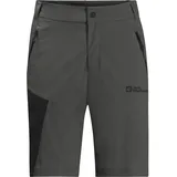Jack Wolfskin Glastal Shorts, grau - 56