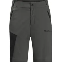 Jack Wolfskin Glastal Shorts, grau - 56