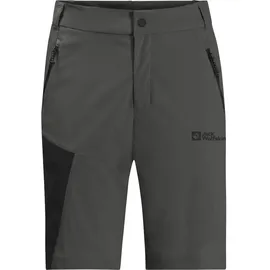 Jack Wolfskin Glastal Shorts, grau - 56