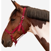 Halfter Pferd/Pony - Schooling rot, rosa|rot, VOLLBLUT