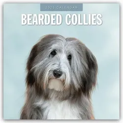 Bearded Collies – Bearded Collie 2025 – 16-Monatskalender