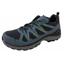 Lowa INNOX EVO II GTX, Herren Multifunktionsschuhe, Blau - Gr.: 49,5
