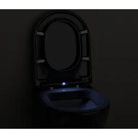Bernstein WC-Sitz U1002 Schwarz mit LED-Beleuchtung