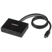 Lindy 2 Port USB-C USB 3.2 Gen 1 Typ C Hub Schwarz