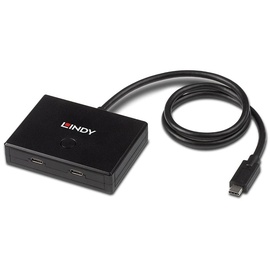 Lindy 2 Port USB-C USB 3.2 Gen 1 Typ C Hub Schwarz