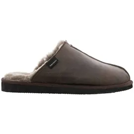SHEPHERD Hugo Braun 44