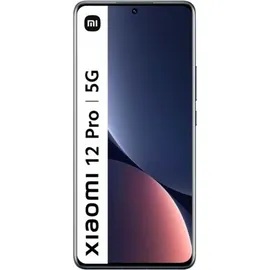 Xiaomi 12 Pro 12 GB RAM 256 GB Gray