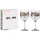 Ritzenhoff & Breker Schattenfauna Gin-Kelch 0,72 l 2 St.
