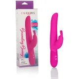 CalExotics Posh Bounding Bunny