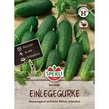 Sperli Gemüsesamen, Einlegegurken Excelsior