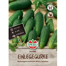 Sperli Gemüsesamen, Einlegegurken Excelsior