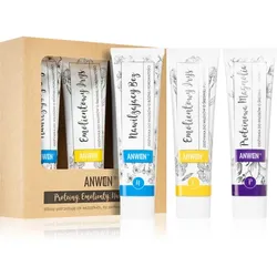 Anwen Proteins . Emollients . Humectants pflegender Conditioner vorteilhafte Packung 3 x 100 ml Medium porosity