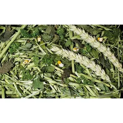JR FARM Nager Kräutergarten Raufutter für Kleintiere 500 Gramm