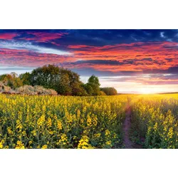 Fototapete PAPERMOON "Bucht", bunt, B:3,00m L:2,23m, Vlies, Tapeten