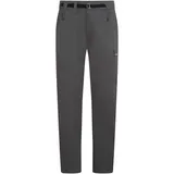 Icebreaker Merino Elevation Stretch Hosen Grau 36