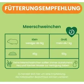 Burgess Excel Nuggets mit Minze – hochwertiges Meerschweinchenfutter 1,75KG
