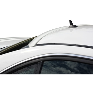 RDX Racedesign RDHL487 Hecklippe, Anzahl 1