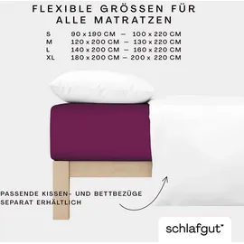 schlafgut Premium Baumwolle 180 x 200 - 200 x 220 cm purple deep
