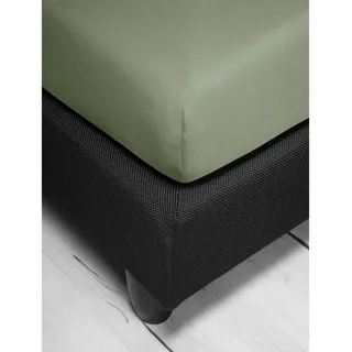 IRISETTE Spannbettlaken Jersey 180 x 200 cm grün