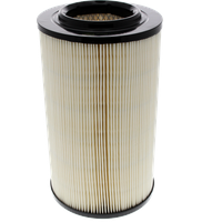 Champion Luftfilter (CAF100186R) | Filter, Luftversorgung