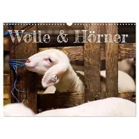 Calvendo Wolle & Hörner (Wandkalender 2026 DIN A3 quer),