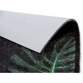 Astra Sauberlaufmatte Felicido Monstera Zuhause' 50 x 70 cm