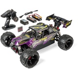 CARSON 1:8 Virus Race 4.3 4S brushless 100% RTR lila