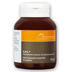 Calcium+