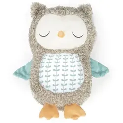 Ingenuity Snuggle SoundsTM Kuscheltier mit Bluetooth-Lautsprecher - Eule NallyTM
