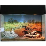 Lucky Reptile Terrarium-Starter Kit Schwarz 50 x 40 x 28 cm