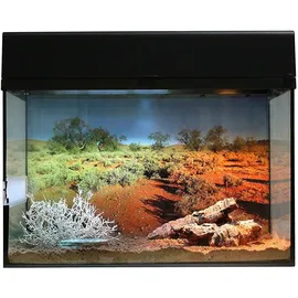 Lucky Reptile Terrarium-Starter Kit Schwarz 50 x 40 x 28 cm