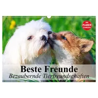 Calvendo Beste Freunde. Bezaubernde Tierfreundschaften (Wandkalender 2026 DIN A3