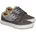 grau 40