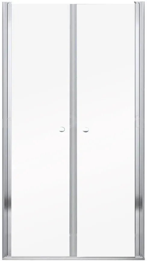 Salon 90x195 cm Doppelduschtür